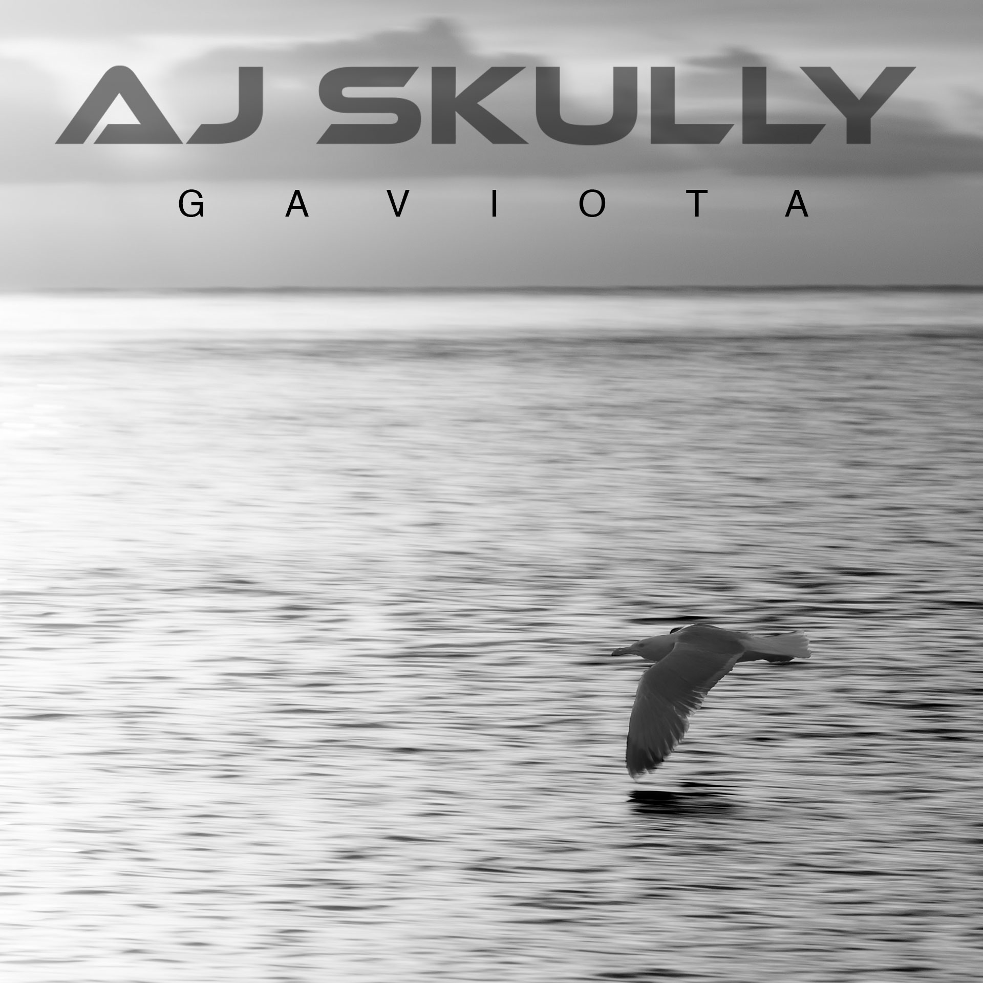 Gaviota by AJ Skully cover